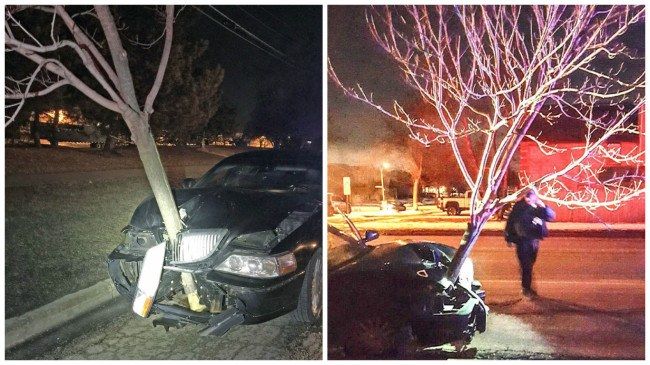 Drunk Driver Hits Tree, Takes Tree Along For Ride