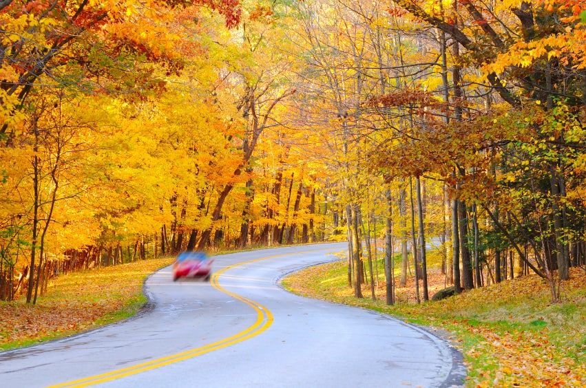 Amish Teen Driving Buggy Charged With Drunk Driving In Pennsylvania